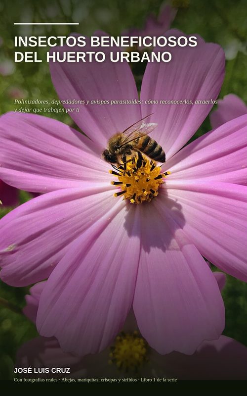 Portada de Insectos Beneficiosos del Huerto Urbano
