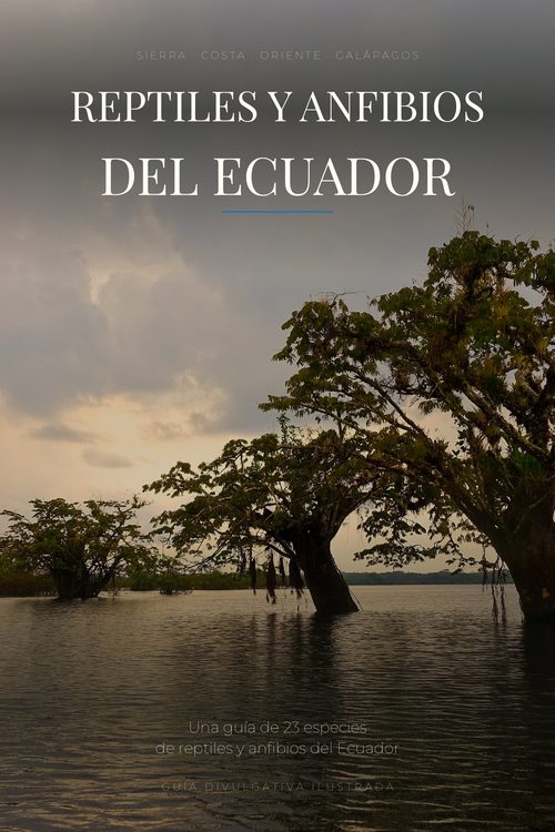 Portada de Reptiles y Anfibios del Ecuador